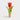 Tulip wine stopper
