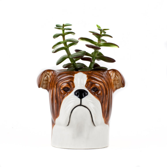Engelsk bulldog vase / blyantholder fra Quail