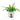 Parrot wall vase