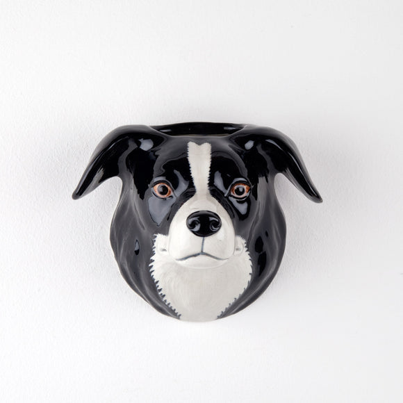 Border Collie vægvase fra Quail