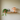 AU MAISON svampelampe orange/hvid/blå glas - 17xø15 cm fra EJA på hylde med dekoration