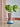 Hyldia Vase detalje nærbillede