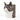 Cat Jar - Small - Dimsstudio