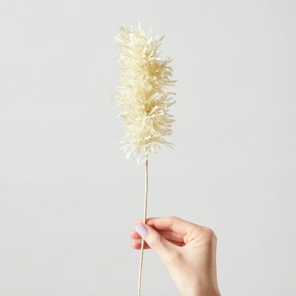 Beautiful Sand - Pampas Grass