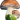 Mushroom hook