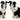 Border Collie salt &amp; pepper set