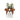 Engelsk bulldog vase / blyantholder