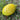 Decorative Lemon in Ceramic, Large – Caja Company