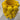Citron vase i keramik – lille, 23 cm
