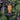Christopher Walken – Black Suit
