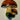 Mushroom hook