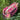 Neceser de cosméticos / bolsa de aseo tigre rosa