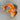 Carp fish - large - ORANGE/RED