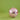 Large Round Disco Ball - Pink