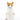 Squash cat vase