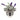 Koala wall vase