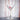 Flamingo Misa Cocktail Glass