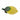 Lemon Decoration in Glass