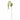 Green foxtail - artificial stem