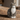 Millie katte vase fra Quail – billede 3