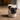Mops lille vase - blyantholder fra Quail – tæt på detaljer
