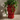 Testa Di Moro vase - Rød kvinde 30 cm fra Selected by dims studio – tæt på detaljer