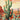 Cactus 01 poster - multiple sizes (A20, A150, A1120)