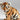 Tiger cubs